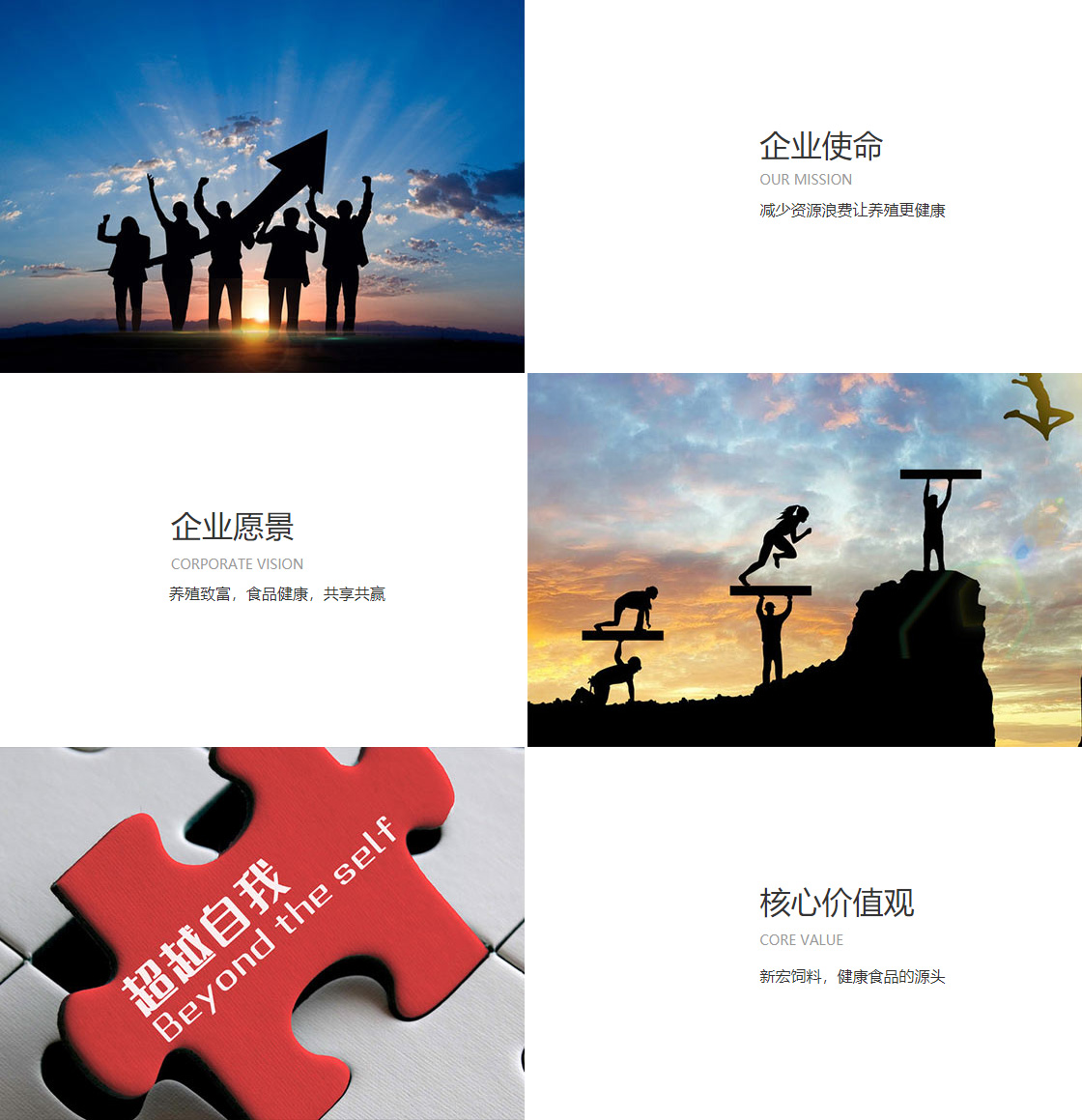 九游会官网在线(图1)